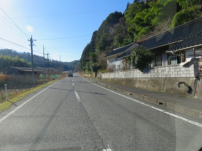 IMG_7379.jpg