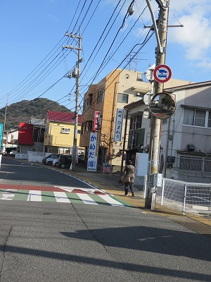 IMG_7677.jpg