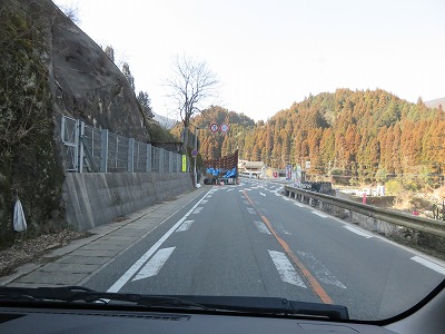 IMG_8618.jpg