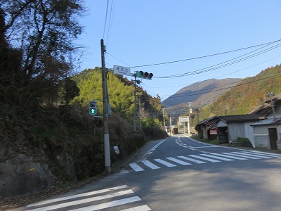 IMG_8619.jpg