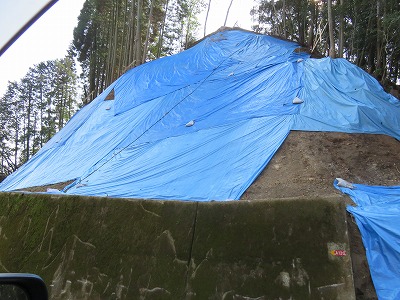 IMG_8622.jpg