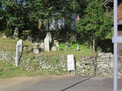 IMG_5294.jpg