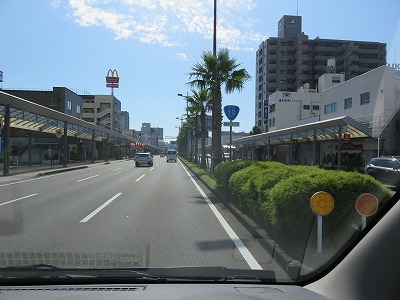 IMG_5340.jpg