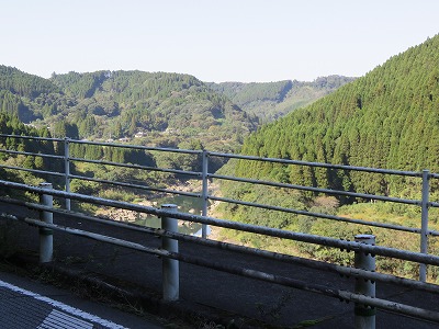 IMG_5354.jpg