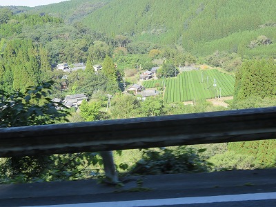 IMG_5356.jpg
