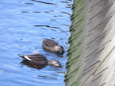 IMG_6922.jpg