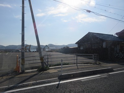 IMG_6987.jpg