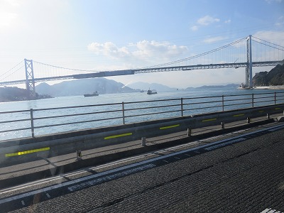 IMG_6990.jpg