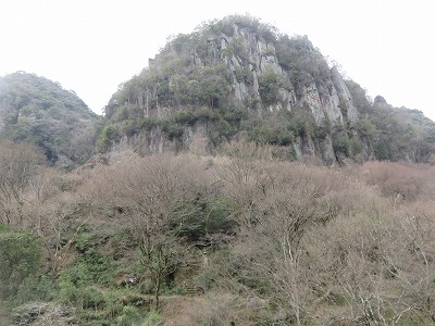IMG_7831.jpg