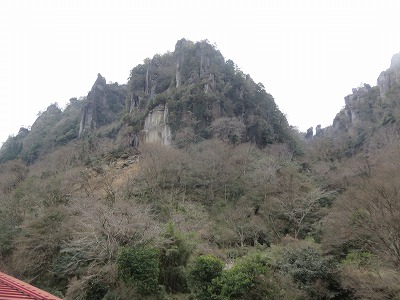 IMG_7834.jpg