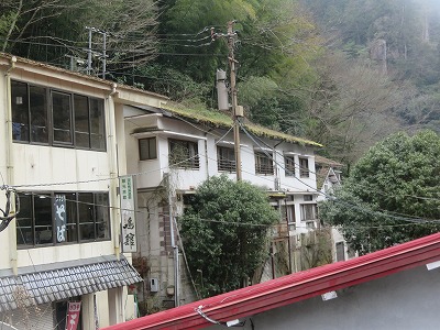 IMG_7836.jpg