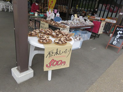 IMG_7855.jpg