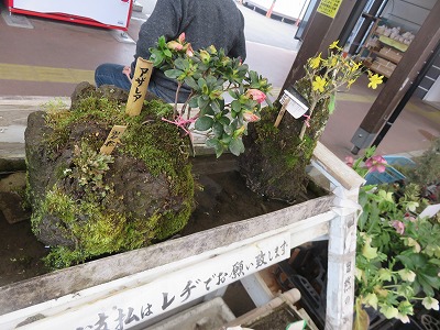 IMG_7858.jpg