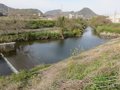 IMG_9415.jpg