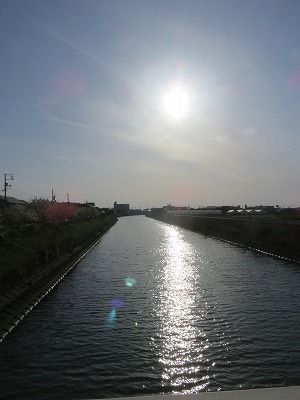 IMG_9354.jpg