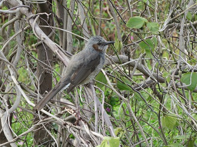 IMG_9742.jpg