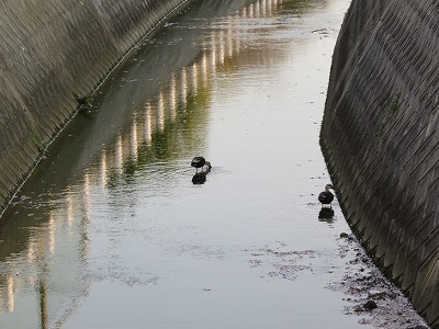 IMG_9441.jpg