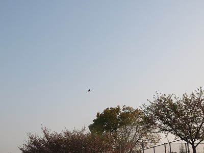 IMG_9444.jpg