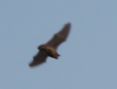 IMG_9447.2.jpg