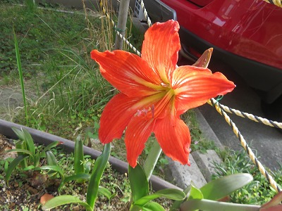 IMG_0331.jpg