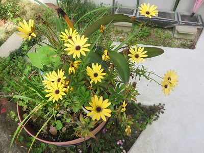 IMG_0336.jpg