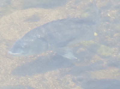 IMG_0637.2.jpg