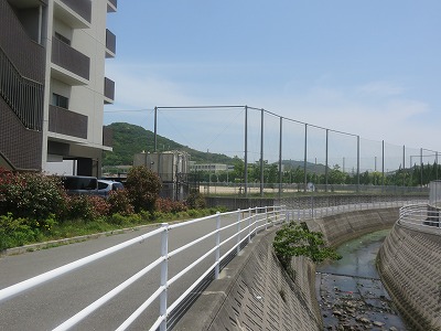 IMG_0645.jpg