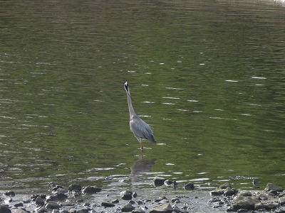 IMG_0656.jpg