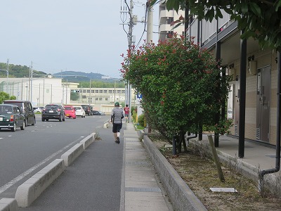 IMG_1600.jpg