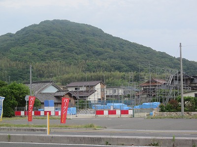 IMG_1020.jpg