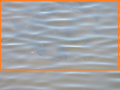 IMG_1753.jpg