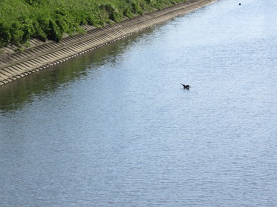IMG_1757.jpg