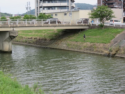 IMG_1825.jpg