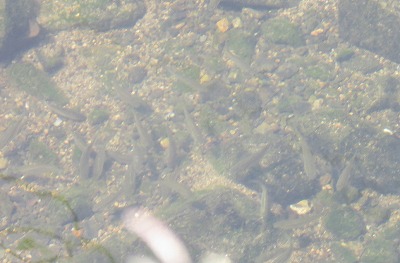 IMG_1870.2.jpg
