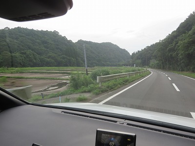 IMG_2228.jpg