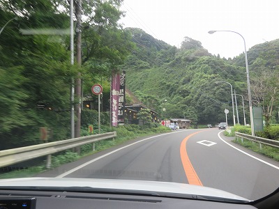 IMG_2209.jpg