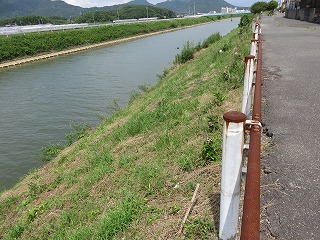 IMG_2470.jpg