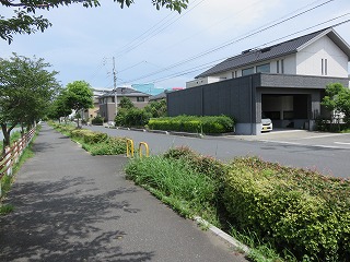 IMG_2472.jpg