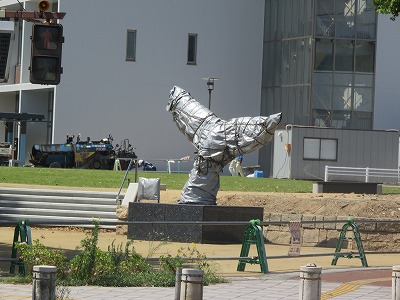 IMG_3138.jpg