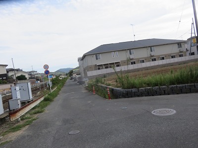 IMG_3554.jpg