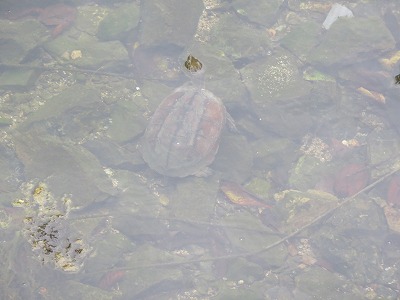 IMG_3585.jpg
