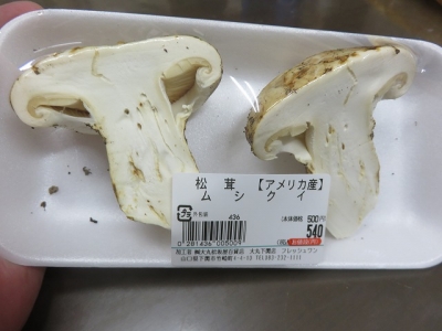 松茸VS椎茸 | ユーアイネットショップ店長日記 とっておき情報