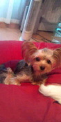 20091005154001.jpg