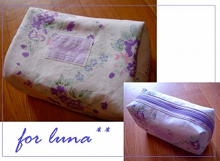 for luna1