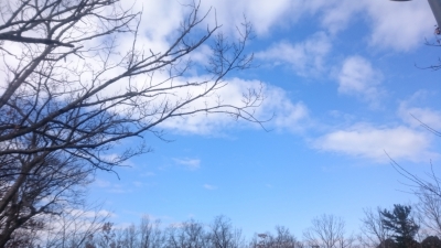 DSC_1049.JPG