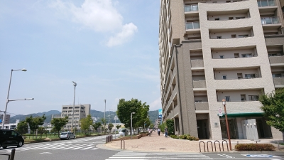 DSC_4882.JPG