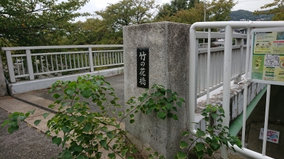 DSC_0169.JPG