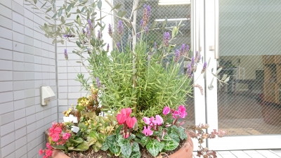 DSC_1328.JPG