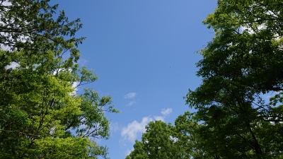 DSC_2799.JPG