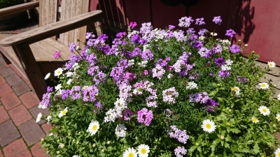 DSC_2491.JPG